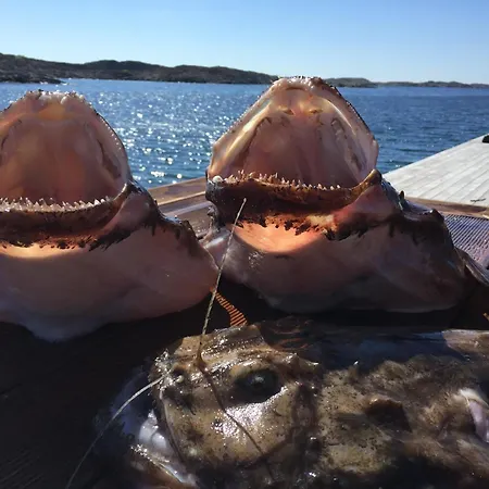 Modern Seaside Feriehus Bomlo